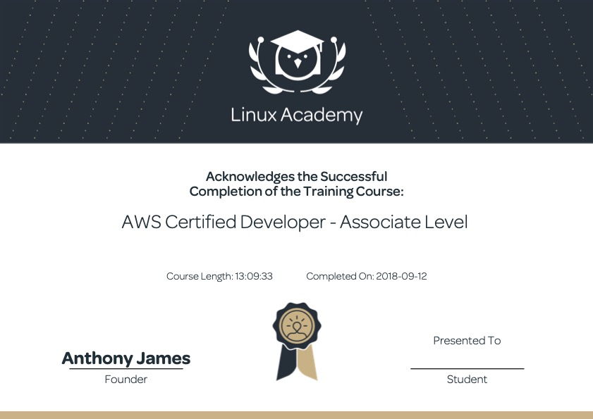 AWS Certified Developer - Associate Level (2017)